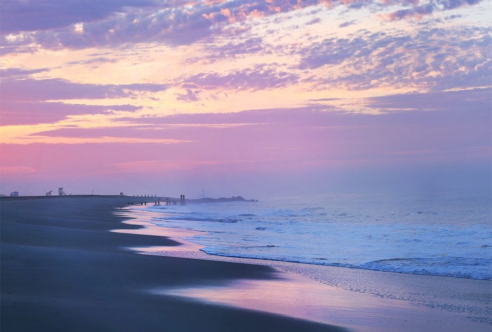 Hopetaft Ocean Beach Events Calendar 2019