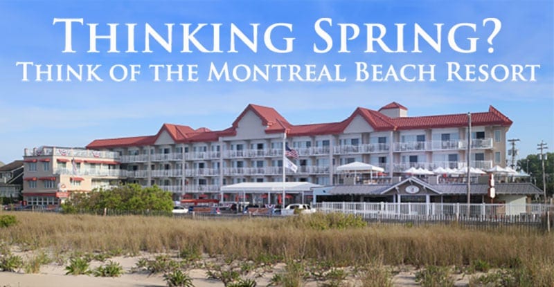 Cape May Spring Specials Banner