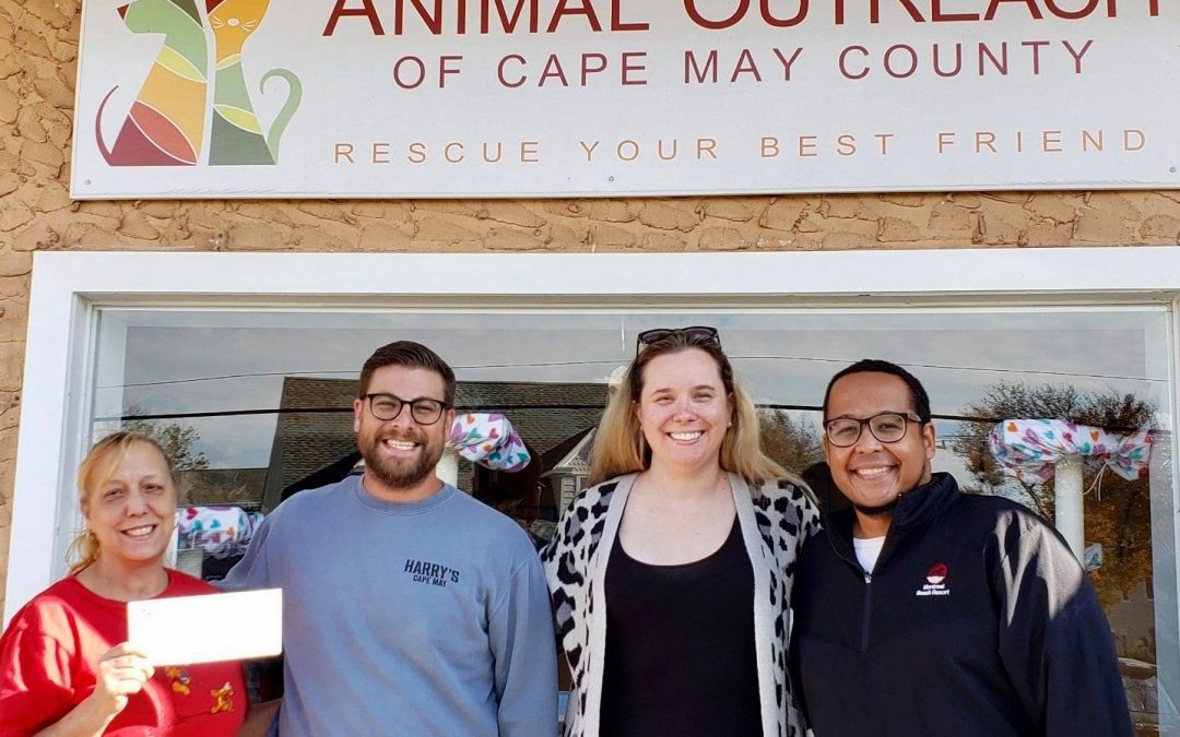 Cape May Animal Outreach
