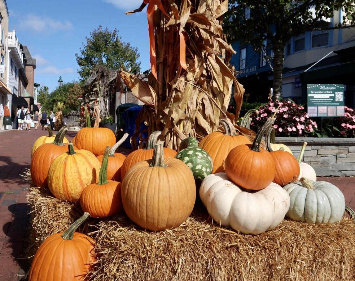Cape May Fall Special 2025. Montreal Beach Resort