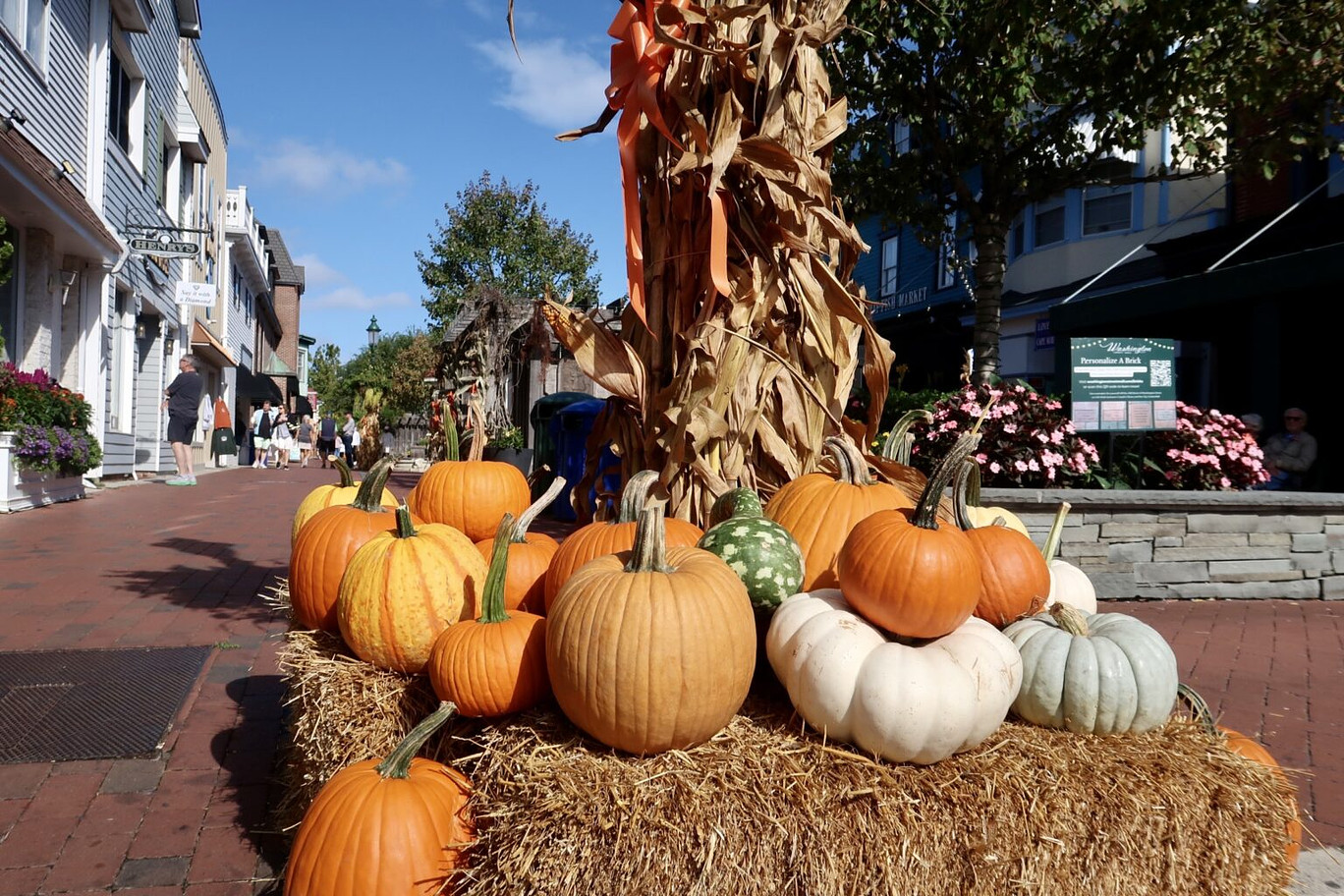 Cape May NJ fall hotel specials at the Montreal Beach Resort